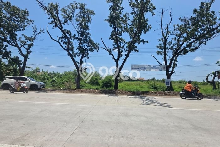 Jarang Ada! Tanah di Kaliwungu Punya Luas 16000m2 SHM Jarang Ada! Tanah di Kaliwungu Punya Luas 16000m2 SHM