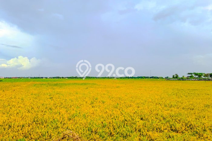 Jual Tanah Area Prospektif di Serang, Luas 35137m², Dekat Serang, Serang, Serang Jual Tanah Area Prospektif di Serang, Luas 35137m², Dekat Serang, Serang, Serang