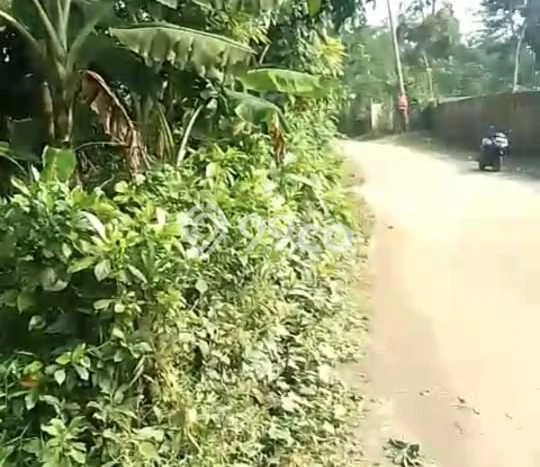 Kavling Tanah Dijual di Pamarayan, Serang, Luas 2862m2 Area Strategis Kavling Tanah Dijual di Pamarayan, Serang, Luas 2862m2 Area Strategis