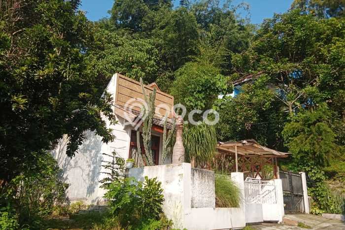 Rumah Luas Asri 3 KT Siap Huni di Cikutra Bandung Rumah Luas Asri 3 KT Siap Huni di Cikutra Bandung