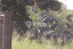 Lahan Kosong Dijual di Bogor dengan Area 920m2 Lahan Kosong Dijual di Bogor dengan Area 920m2
