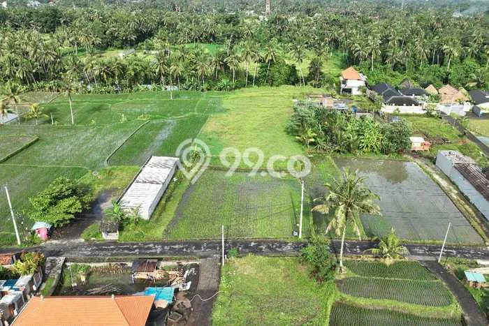 Tanah Dijual di Gianyar Seluas 2500m2 Strategis Tanah Dijual di Gianyar Seluas 2500m2 Strategis