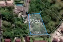 Tanah Kavling Dijual di Badung dengan Spesifikasi 1214m2 Tanah Kavling Dijual di Badung dengan Spesifikasi 1214m2