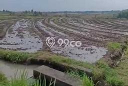 Tanah Dijual Area Strategis di Beraban Tabanan 5100m2 Tanah Dijual Area Strategis di Beraban Tabanan 5100m2