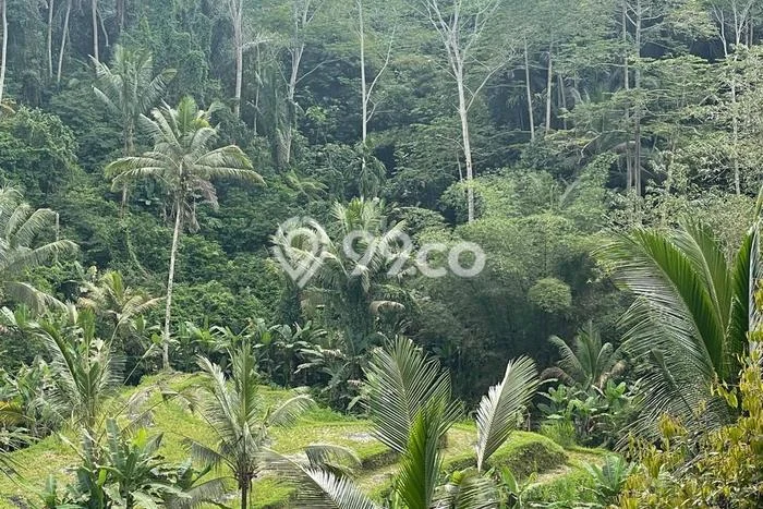 Kavling Tanah untuk Dijual di Sebatu, Gianyar, Luas 3400m2 Kavling Tanah untuk Dijual di Sebatu, Gianyar, Luas 3400m2
