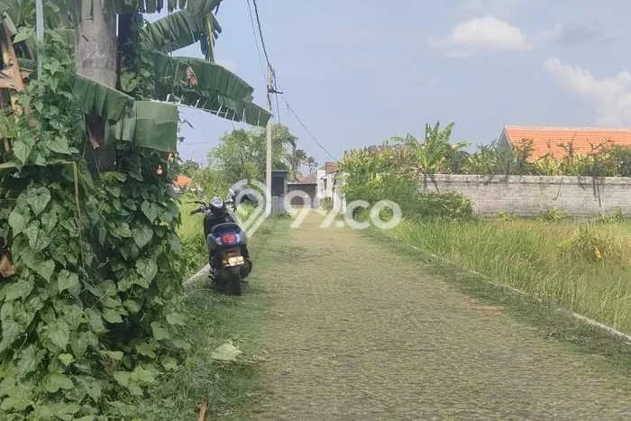 Dijual Tanah Lokasi Umalas, Badung Seluas 1700m2 Dijual Tanah Lokasi Umalas, Badung Seluas 1700m2