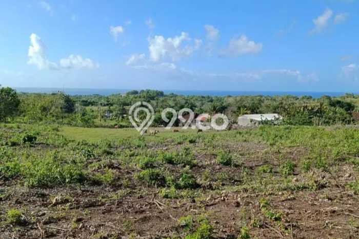 Tanah Dijual di Badung Seluas 155m2 Strategis Tanah Dijual di Badung Seluas 155m2 Strategis