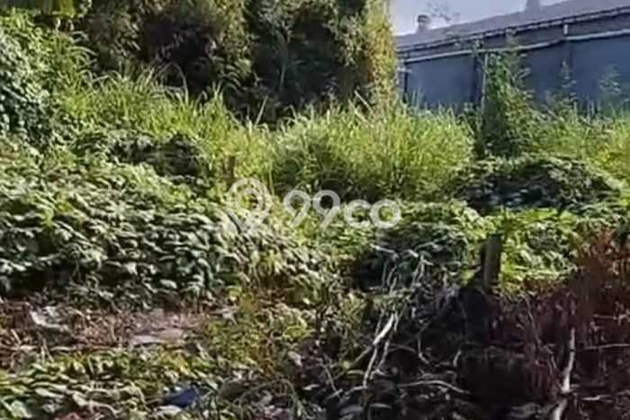 Jarang Ada! Tanah di Denpasar Utara Punya Luas 550m2 SHM Jarang Ada! Tanah di Denpasar Utara Punya Luas 550m2 SHM