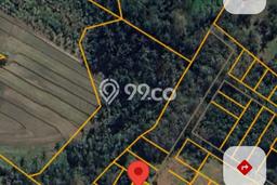 Jarang Ada! Tanah di Tabanan Punya Luas 250m2 SHM Jarang Ada! Tanah di Tabanan Punya Luas 250m2 SHM