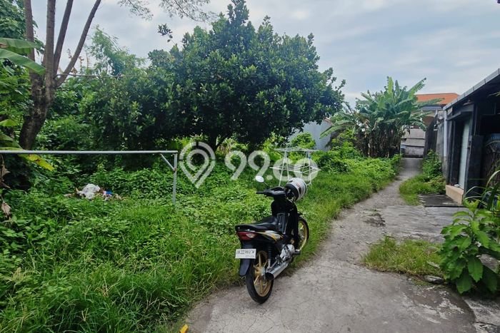 Jarang Ada! Tanah di Denpasar Utara Punya Luas 330m2 SHM Jarang Ada! Tanah di Denpasar Utara Punya Luas 330m2 SHM