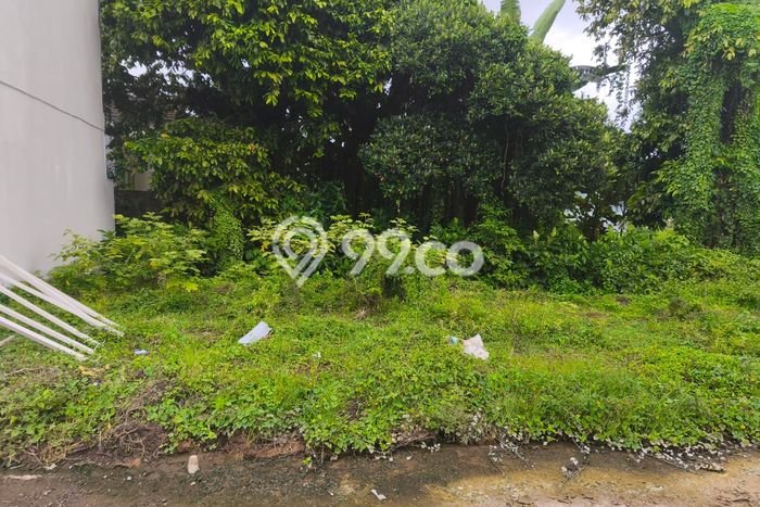Tanah Kavling Dijual di Kedungu, Tabanan dengan Luas Tanah 450m2 Tanah Kavling Dijual di Kedungu, Tabanan dengan Luas Tanah 450m2