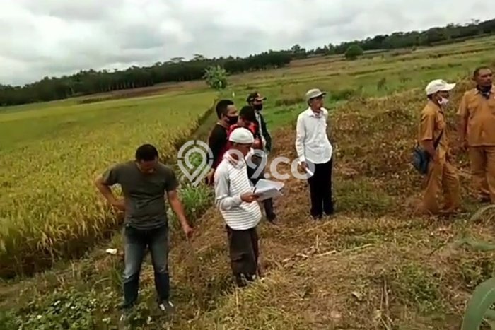 Lahan untuk Dijual di Braja Slebah Lampung Timur Luas 2e+06m2 Lahan untuk Dijual di Braja Slebah Lampung Timur Luas 2e+06m2