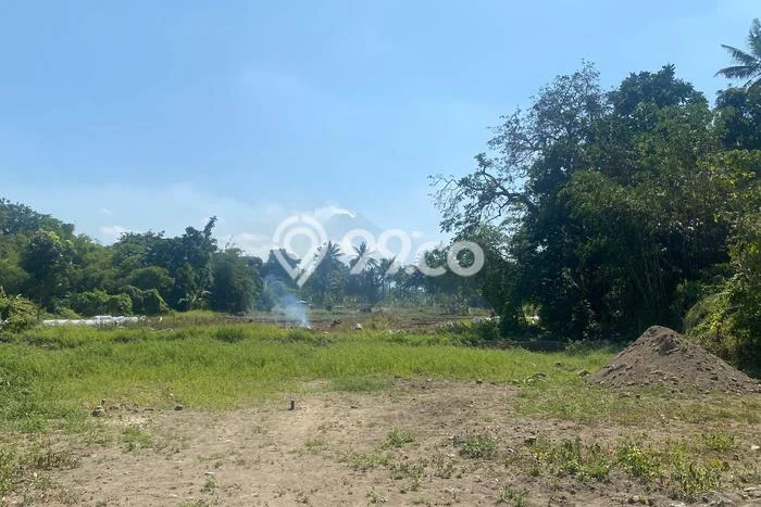 Tanah Kavling Dijual di Sleman, Yogyakarta dengan Luas Tanah 125m2 Tanah Kavling Dijual di Sleman, Yogyakarta dengan Luas Tanah 125m2