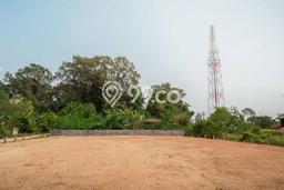 Kavling Tanah untuk Disewa di Kapuk Lahan Luas 14000m2 Kavling Tanah untuk Disewa di Kapuk Lahan Luas 14000m2