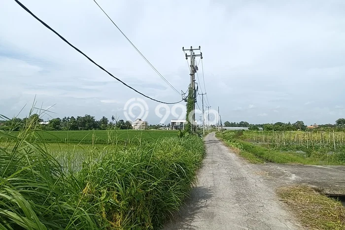 Tanah Disewa di Kedungu Strategis dan Memiliki Luas 1650m2 Tanah Disewa di Kedungu Strategis dan Memiliki Luas 1650m2