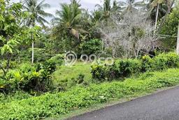 Dijual Tanah di Tabanan Tabanan Luas 5730m2 SHM Dijual Tanah di Tabanan Tabanan Luas 5730m2 SHM