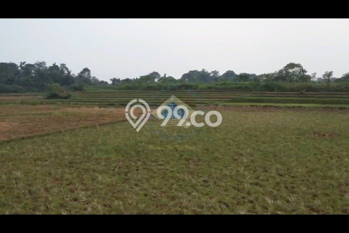 Tanah Kosong Dijual di Serang dengan Area 9940m2 Tanah Kosong Dijual di Serang dengan Area 9940m2