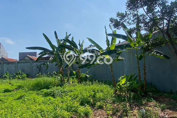 Kavling Tanah di Kebon Jeruk Dijual Luas 868m2 Legalitas SHM Kavling Tanah di Kebon Jeruk Dijual Luas 868m2 Legalitas SHM