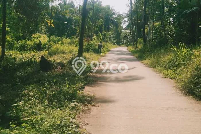 Tanah Dijual di Pandeglang Seluas 4705m2 Strategis Tanah Dijual di Pandeglang Seluas 4705m2 Strategis