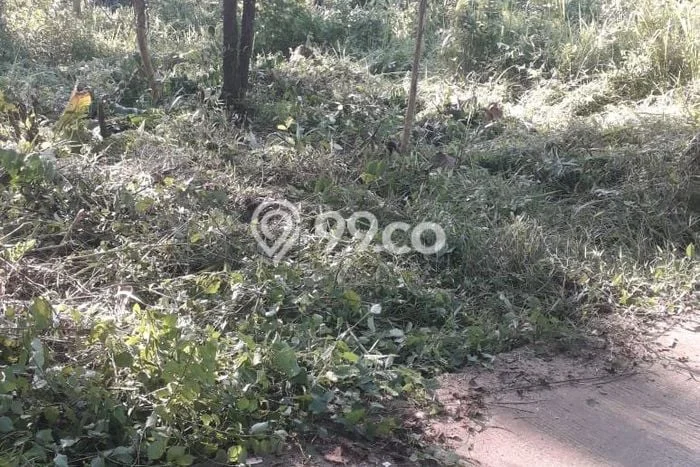Tanah Dijual di Pandeglang Seluas 4705m2 Strategis Tanah Dijual di Pandeglang Seluas 4705m2 Strategis