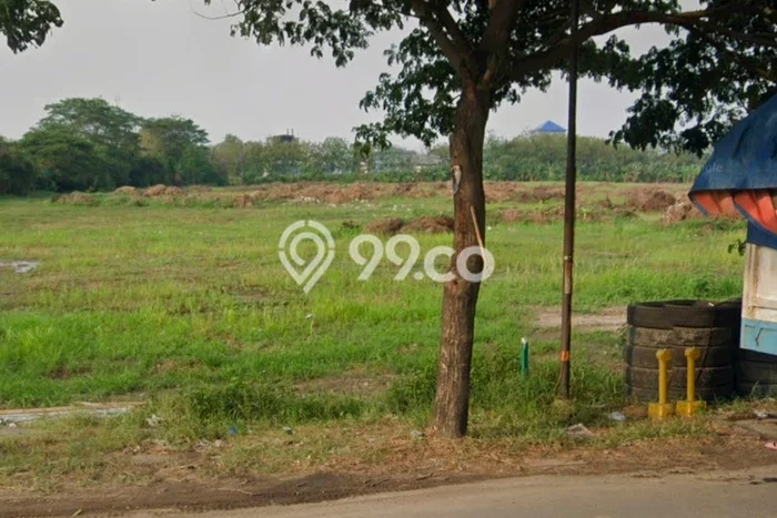 Jarang Ada! Tanah di Ciruas Punya Luas 60000m2 - Jarang Ada! Tanah di Ciruas Punya Luas 60000m2 -