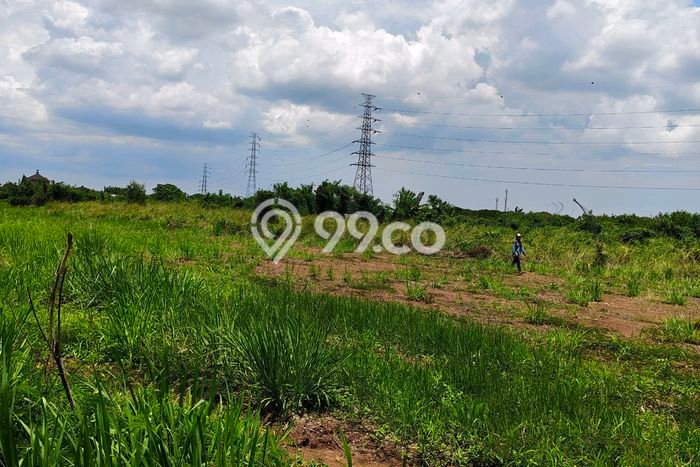 Tanah Kavling Dijual di Pasar Kemis, Tangerang dengan Luas Tanah 45000m2 Tanah Kavling Dijual di Pasar Kemis, Tangerang dengan Luas Tanah 45000m2