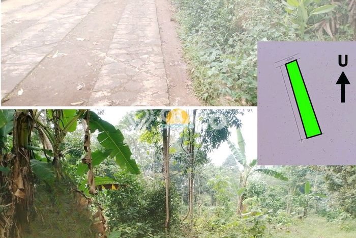 Lahan Kosong Dijual di Kendal dengan Area 1482m2 Lahan Kosong Dijual di Kendal dengan Area 1482m2