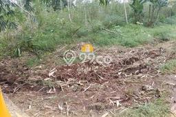 Tanah Dijual Lokasi Mijen, Semarang Luas 14952m2 Legalitas Aman Tanah Dijual Lokasi Mijen, Semarang Luas 14952m2 Legalitas Aman