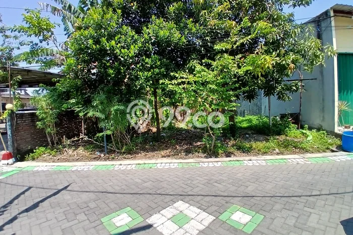 Tanah untuk Dijual di Pedurungan Semarang Luas 311m2 Tanah untuk Dijual di Pedurungan Semarang Luas 311m2