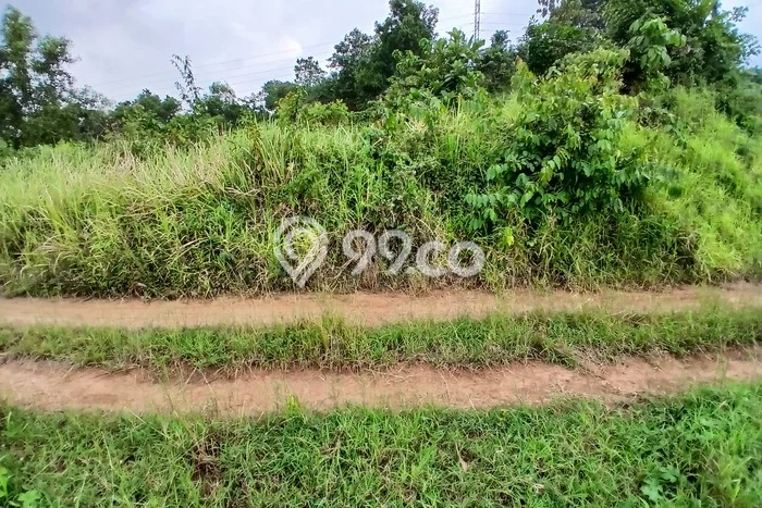 Tanah untuk Dijual Lokasi Batang, Batang Luas 5150m2 SHM Tanah untuk Dijual Lokasi Batang, Batang Luas 5150m2 SHM