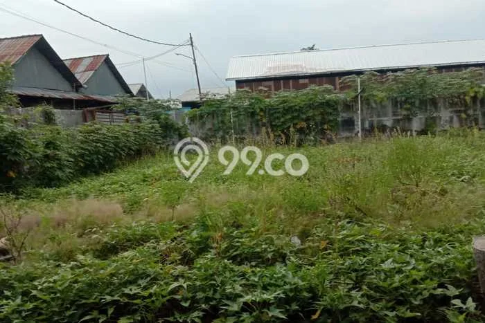 Kavling Tanah Disewakan di Genuk Semarang Luas 972m2 Strategis Kavling Tanah Disewakan di Genuk Semarang Luas 972m2 Strategis