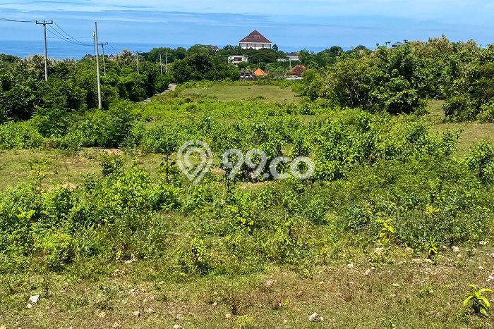 Tanah Dijual Lokasi Strategis di Badung dengan Luas 10000m2 Tanah Dijual Lokasi Strategis di Badung dengan Luas 10000m2