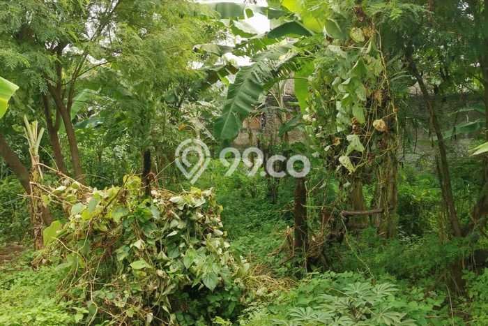 Tanah Lokasi Potensial Kawasan Cipayung, Luas 1421m2m², Akses ke Pusat Kota, Dekat Cipayung, Jakarta Timur, Jakarta Timur Tanah Lokasi Potensial Kawasan Cipayung, Luas 1421m2m², Akses ke Pusat Kota, Dekat Cipayung, Jakarta Timur, Jakarta Timur