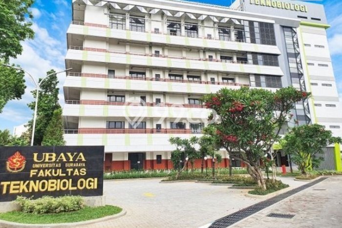 Hunian Nyaman 3 KT Hemat Budget di Kendangsari Surabaya Hunian Nyaman 3 KT Hemat Budget di Kendangsari Surabaya
