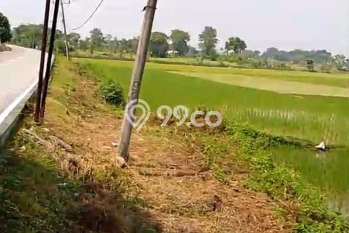 Tanah untuk Dijual Lokasi Serang, Serang Luas 2e+06m2 - Tanah untuk Dijual Lokasi Serang, Serang Luas 2e+06m2 -