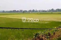 Tanah Kavling di Cikande Dijual dengan Luas 2e+06m2 Tanah Kavling di Cikande Dijual dengan Luas 2e+06m2