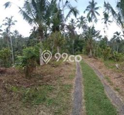 Dijual Tanah di Selemadeg Tabanan Luas 12000m2 SHM Dijual Tanah di Selemadeg Tabanan Luas 12000m2 SHM
