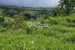 Tanah di Kintamani, Bangli Luas 4370m2 Dijual Segera Tanah di Kintamani, Bangli Luas 4370m2 Dijual Segera