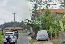 Tanah untuk Dijual Lokasi Ubud, Gianyar Luas 596m2 SHM Tanah untuk Dijual Lokasi Ubud, Gianyar Luas 596m2 SHM