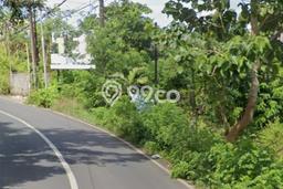 Tanah Dijual Area Strategis di Pecatu Badung 2470m2 Tanah Dijual Area Strategis di Pecatu Badung 2470m2
