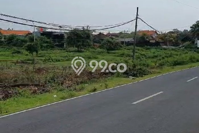 Tanah Kavling Dijual di Badung dengan Spesifikasi 3500m2 Tanah Kavling Dijual di Badung dengan Spesifikasi 3500m2