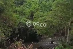 Tanah di Ubud, Gianyar Luas 1236m2 Dijual Segera Tanah di Ubud, Gianyar Luas 1236m2 Dijual Segera