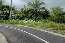 Kavling Tanah Dijual di Selemadeg Tabanan Spesifikasi 2950m2 Kavling Tanah Dijual di Selemadeg Tabanan Spesifikasi 2950m2