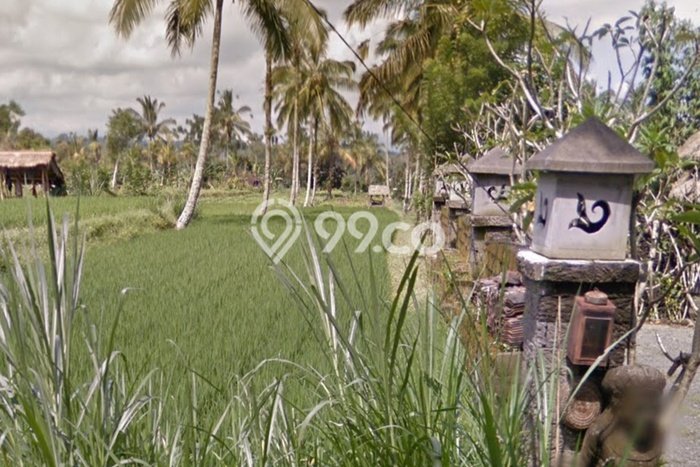 Tanah Dijual Area Strategis di Buahan Gianyar 2500m2 Tanah Dijual Area Strategis di Buahan Gianyar 2500m2