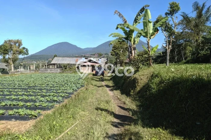 Kavling Tanah Dijual di Baturiti Tabanan Spesifikasi 17990m2 Kavling Tanah Dijual di Baturiti Tabanan Spesifikasi 17990m2