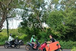 Tanah Kosong Dijual di Badung dengan Area 1810m2 Tanah Kosong Dijual di Badung dengan Area 1810m2