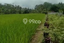 Tanah Kavling Dijual di Sanda, Tabanan dengan Luas Tanah 6135m2 Tanah Kavling Dijual di Sanda, Tabanan dengan Luas Tanah 6135m2