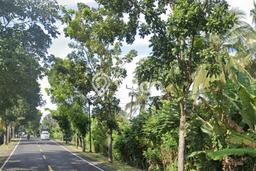 Tanah Kavling Dijual di Candikesuma, Jembrana dengan Luas Tanah 31350m2 Tanah Kavling Dijual di Candikesuma, Jembrana dengan Luas Tanah 31350m2
