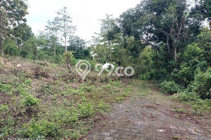 Tanah Potensial Kawasan Pecatu, Luas 770m², For Rent Tanah Potensial Kawasan Pecatu, Luas 770m², For Rent