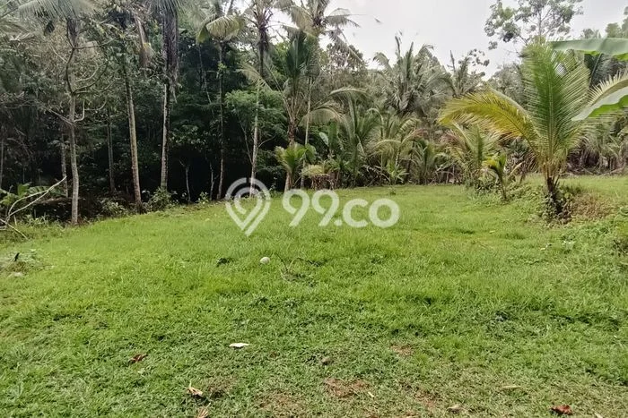 Kavling Tanah Lokasi Strategis di Selemadeg, Tabanan Disewakan 3400m2 Kavling Tanah Lokasi Strategis di Selemadeg, Tabanan Disewakan 3400m2